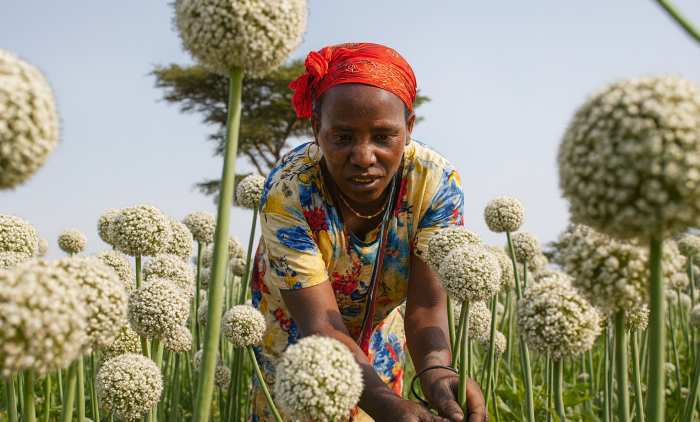 Agriculture